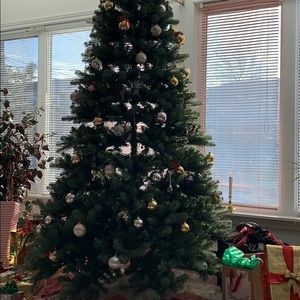 Meet your Posher, Jacqueline